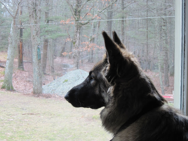 Zoe-2/28/10