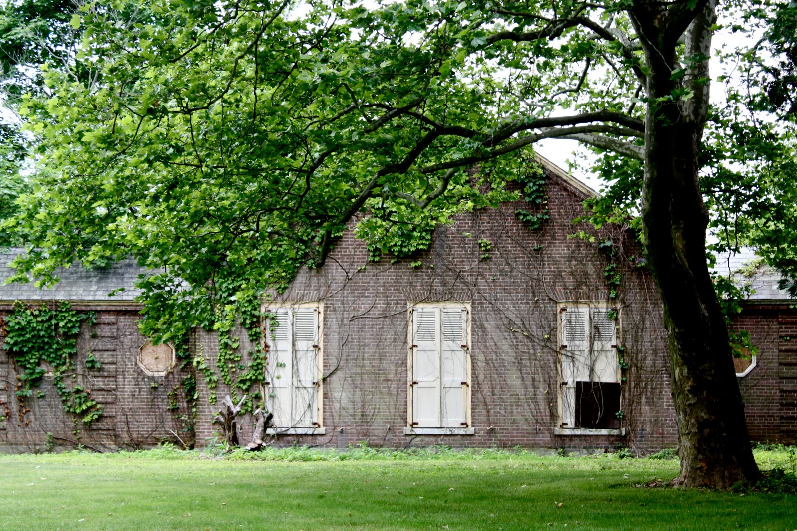 sans sejourné More from Central Islip Psychiatric