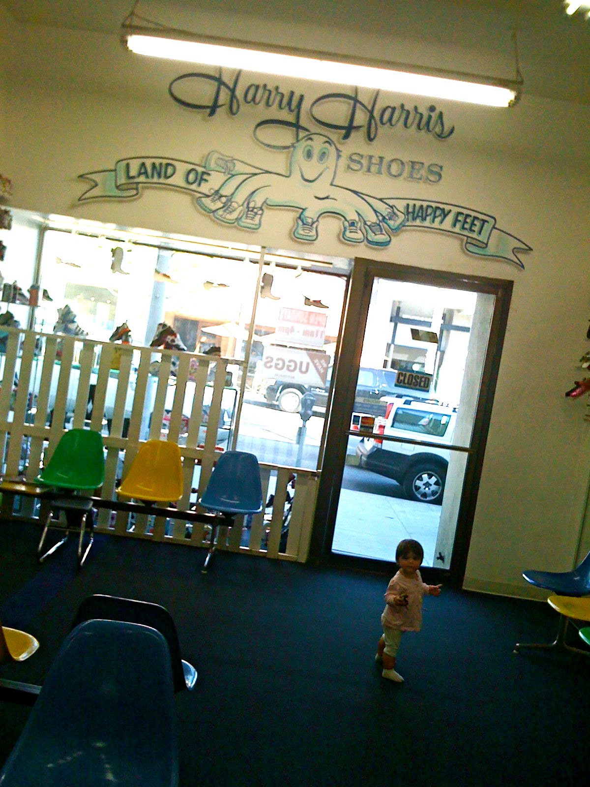 CAMPODONICOS November 2009