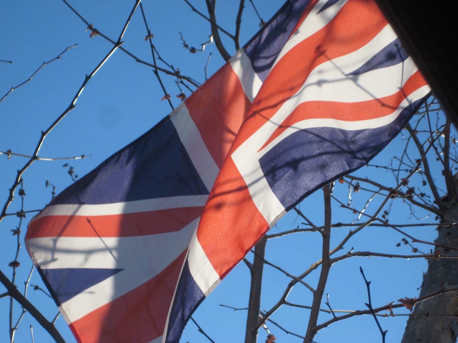 foziewisp: January 2011