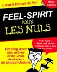 FEEL-SPIRIT pour les nuls