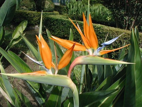 [tg79y90u%270o[1].jpg]