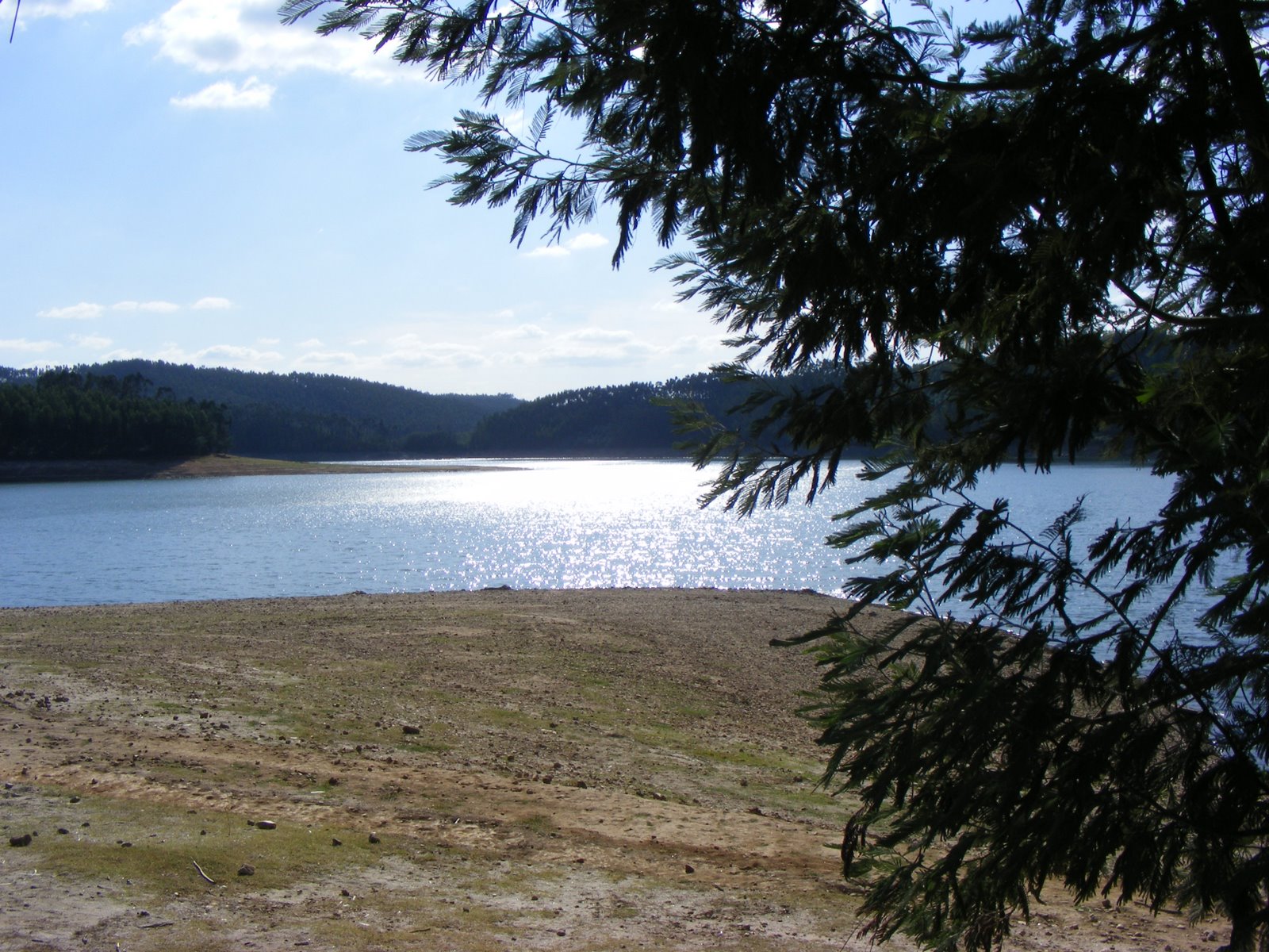 [ferias2008+002.jpg]