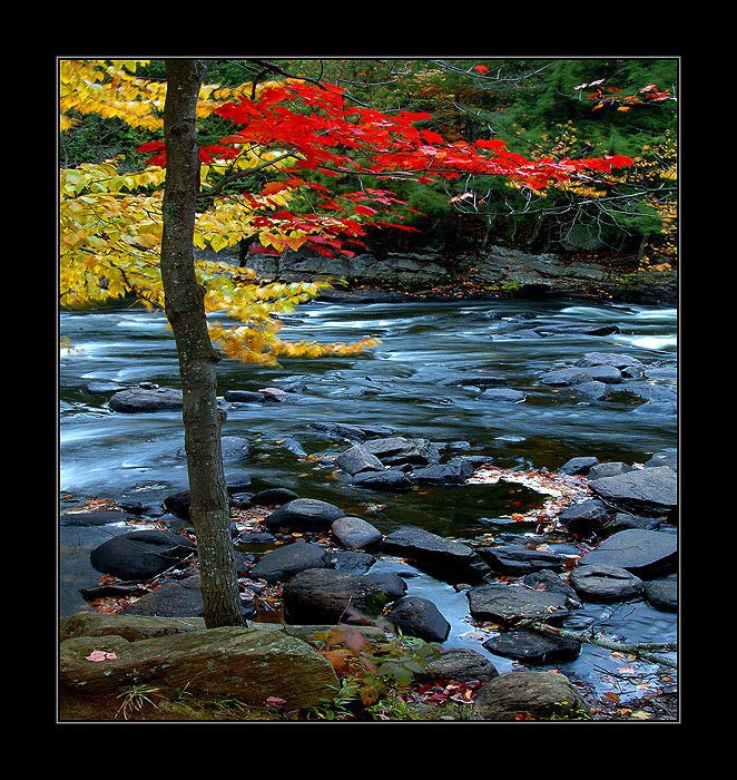 [AUTUMN____by_YuriBonder.jpg]