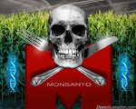 Monsanto.. GMO-GGO