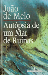 Autópsia de um Mar de Ruínas