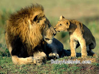 Ceritaku...kalau ada yg x kena, tegurlah..TQ: BABY……??? WHAT DOES IT