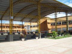 INSTITUCIÓN ALFONSO LOPEZ PUMAREJO