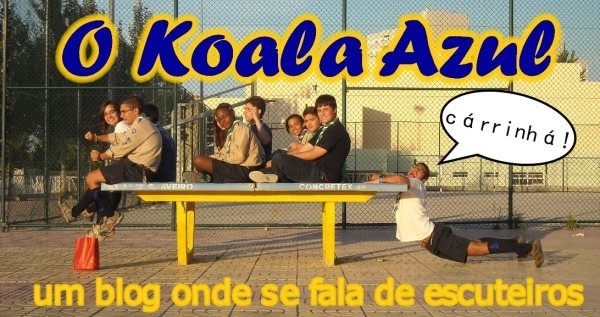 O Koala Azul