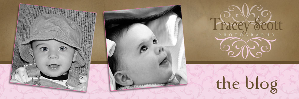 Tracey Scott Photography