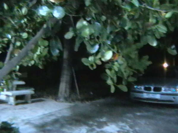 [=?windows-874?B?os254aHouTU2NS5qcGd=?=-788496]