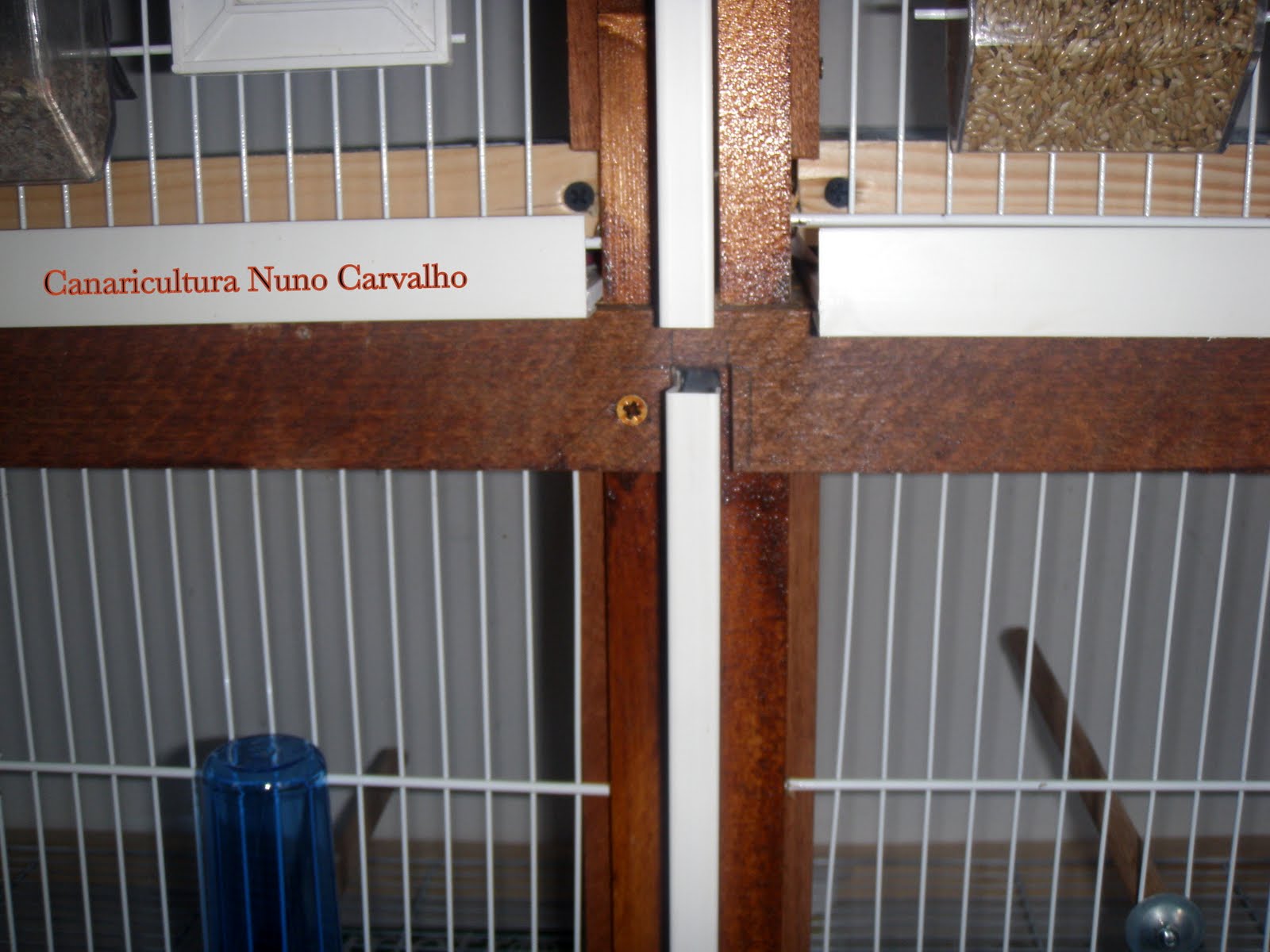 [bricolagem+canários4.JPG]