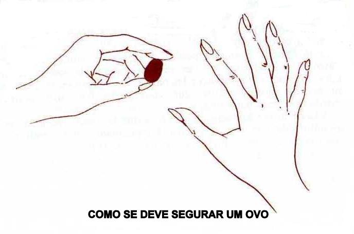 [seg+um+ovo.JPG]