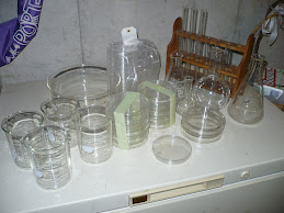 Labware and Glassware