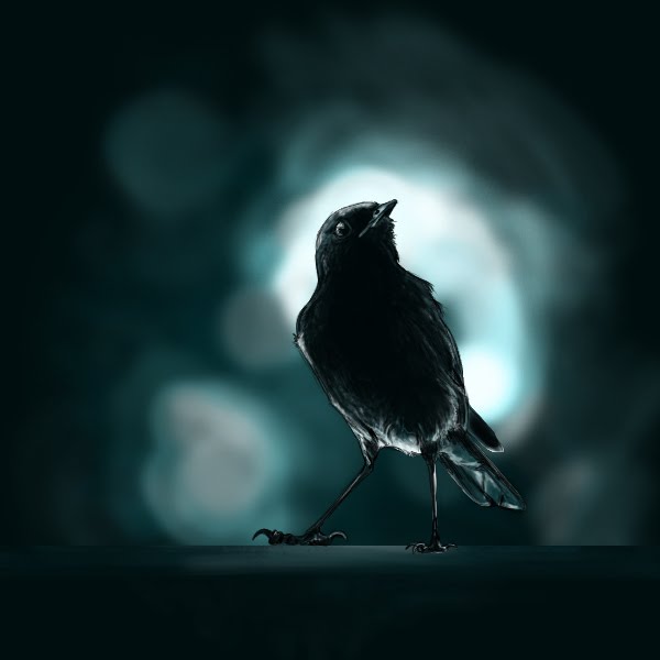 Midway Rendezvous Nightingale