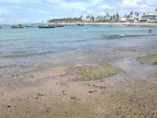 Praia de Arembepe, Bahia Praia de Arembepe