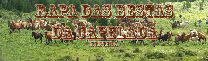 Rapa das bestas da Capelada