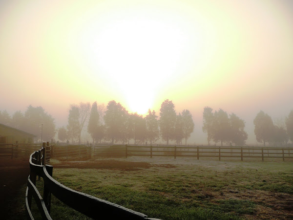 Sun Rise on the Farm
