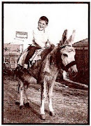 ENFIARAM A CARAPUÇA, os burros por Abrantes: o ciúme cegou-os!