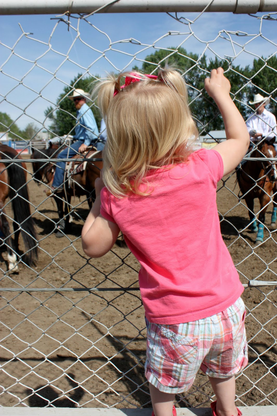 The Stewart Family: Wiley City Rodeo