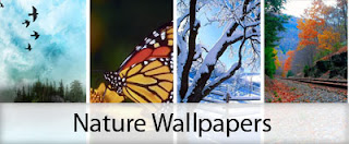 30+ Beautiful Nature Wallpapers