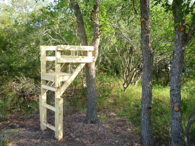 [wildlife+viewing+stand.jpg]