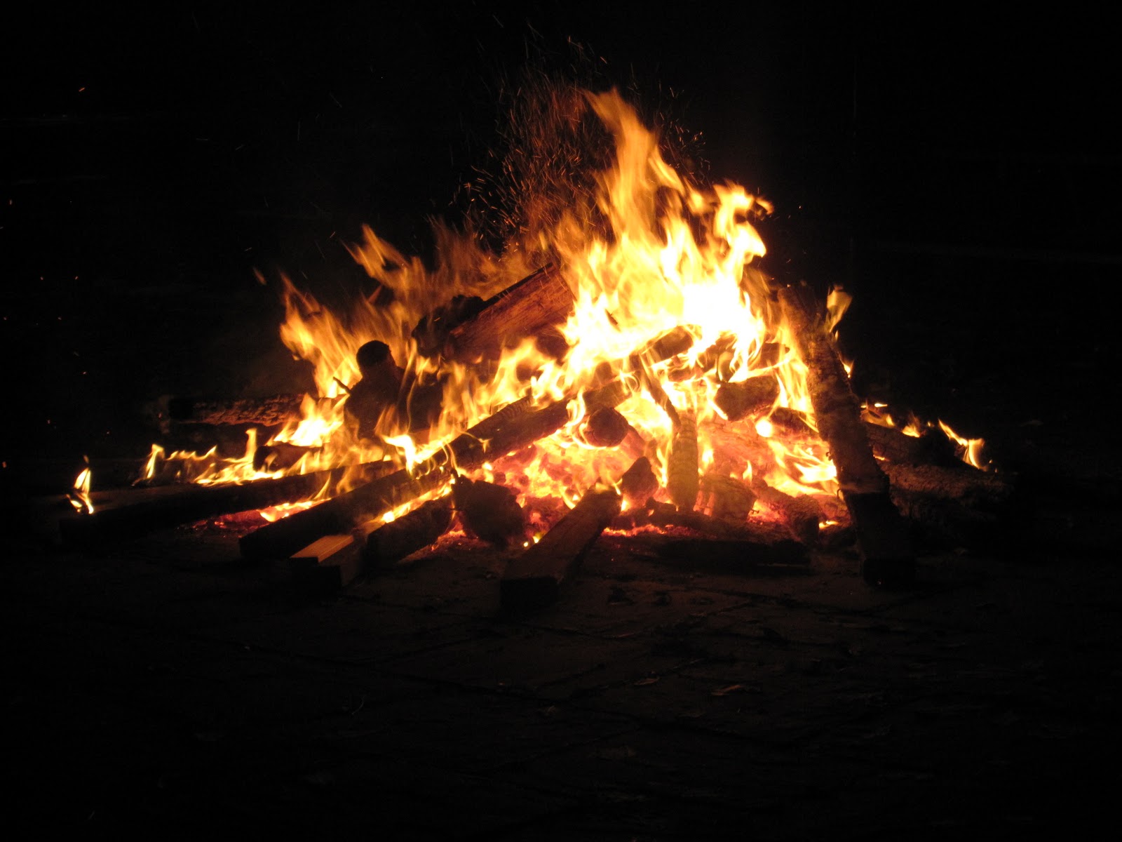 bit o' trifle they sure have fun