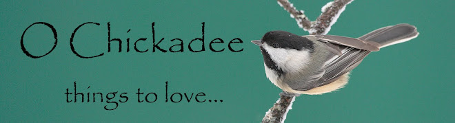 O Chickadee