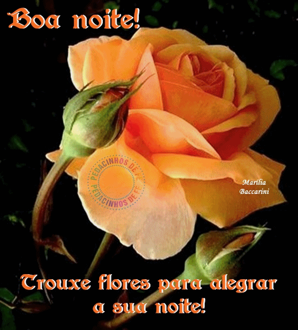 flores.png