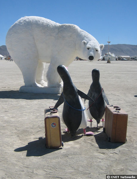 Почему медведи не охотятся на императорских пингвинов. Медведь и Пингвин. Белый медведь и Пингвин. Белый медведь ест пингвина.