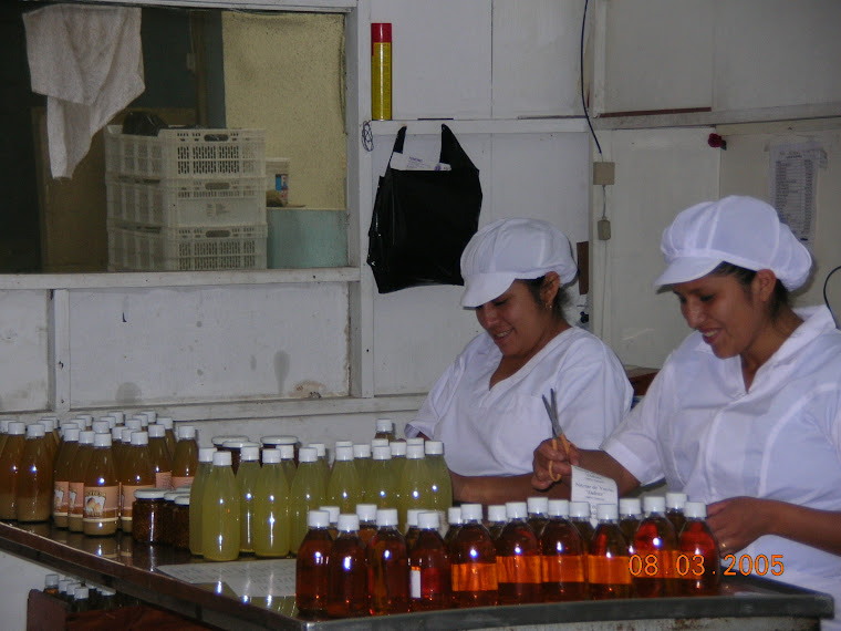 MUJERES PRODUCIENDO LUCHAN CONTRA LA POBREZA