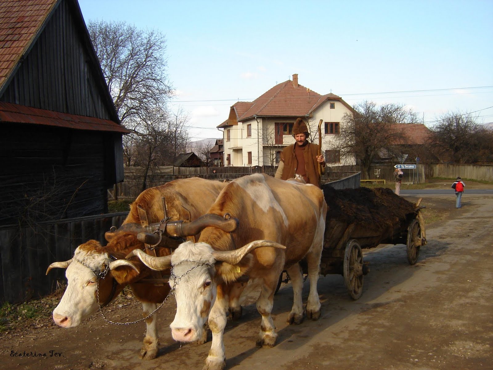 Piata Doi Boi at Ernesto Brainard blog