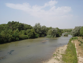 LODOSA (Navarra)