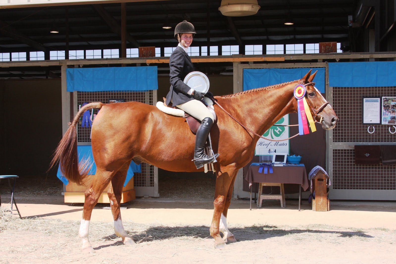 Orange County, VA 4H News HOOFMATES' RAMEYS WIN BIG AT VIRGINIA 4H