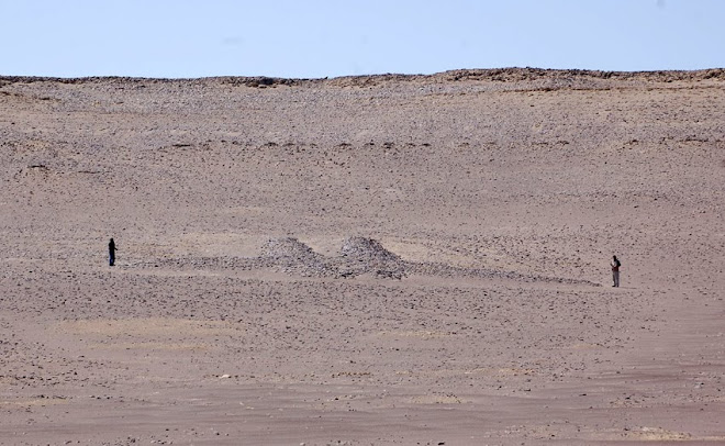 Ave del Geoglifo de Paracas.