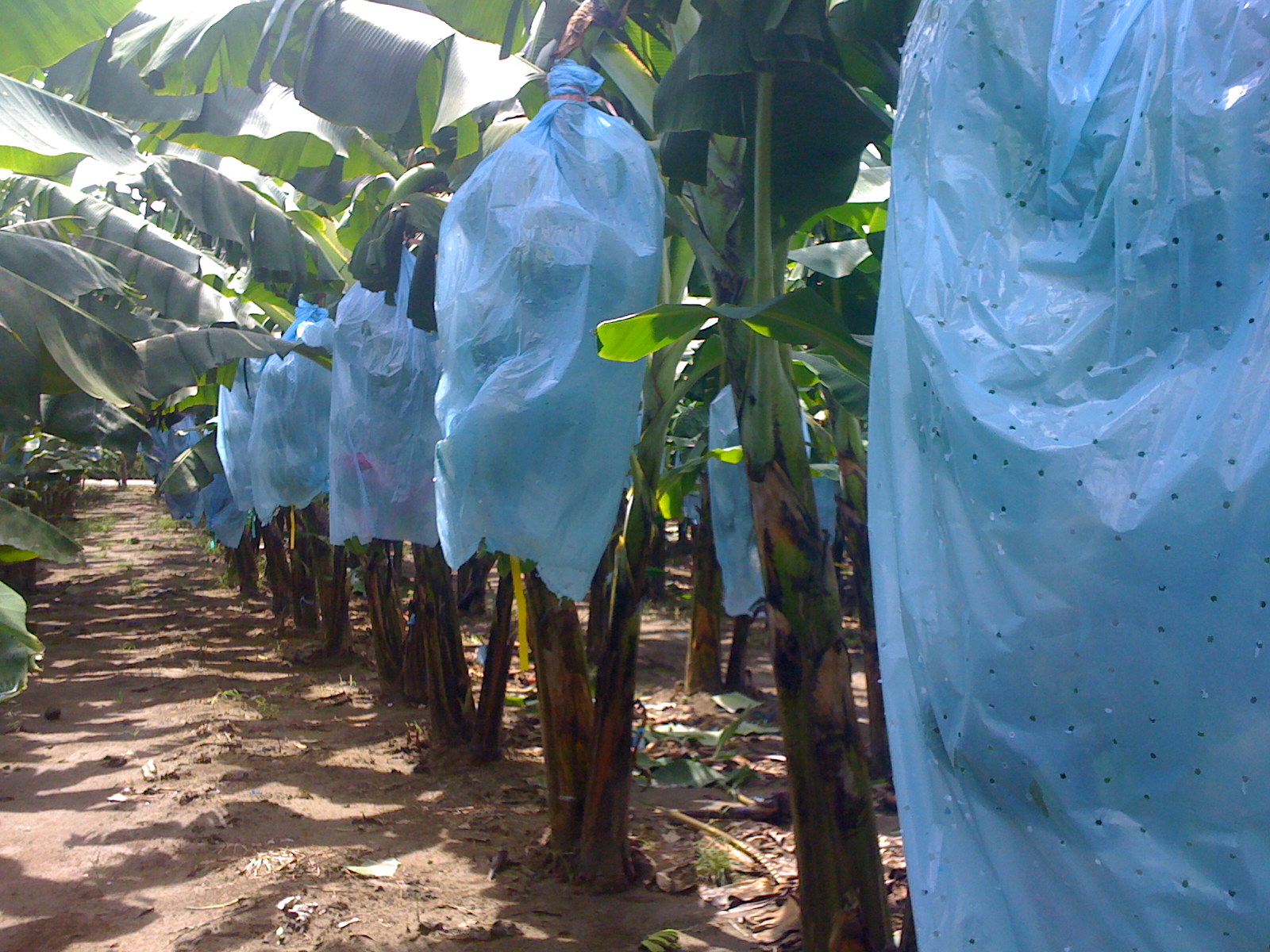 Irrigation Systems - How to choose the perfect system for your farm: