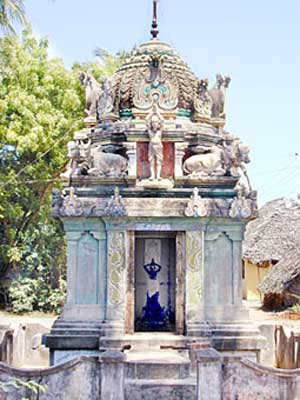 Sivalokanathan Temple ( Nandanar Temple ) - Thirupungur