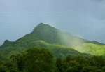 Arunachala Hill
