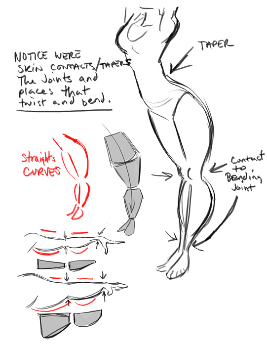 THE ART OF DAVE PIMENTEL Tapering body shapes
