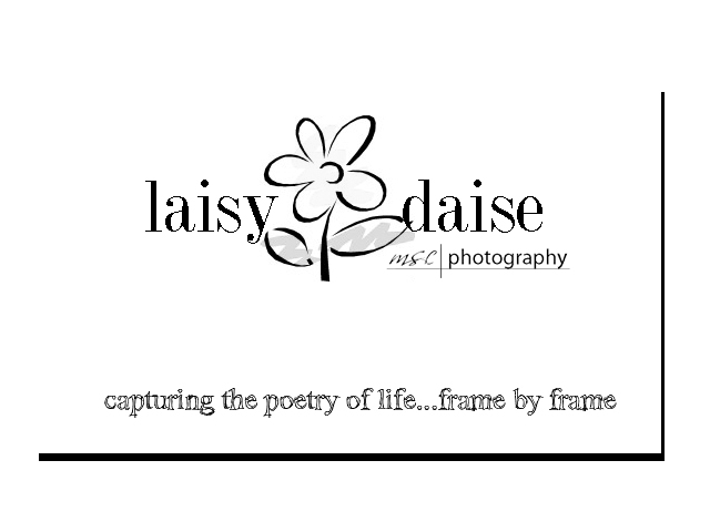 laisy daise photography