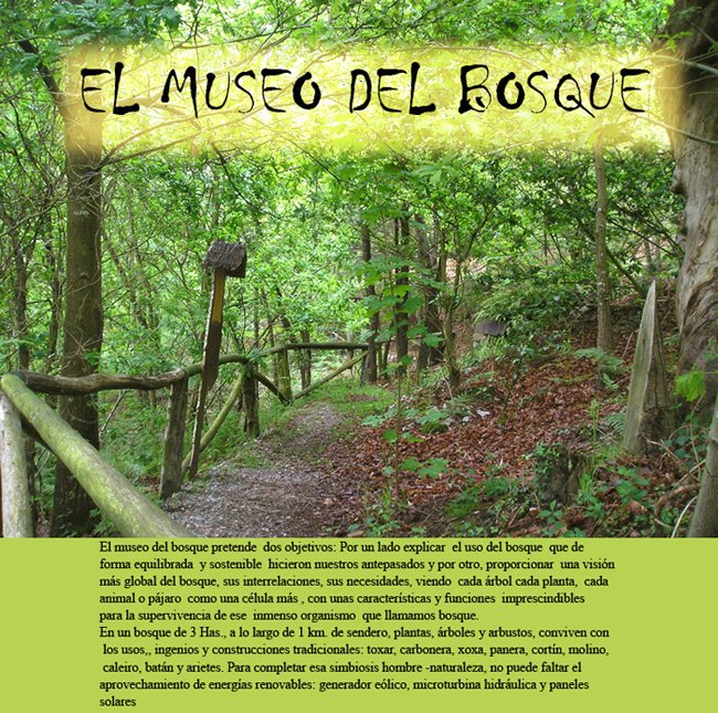 EL MUSEO DEL BOSQUE