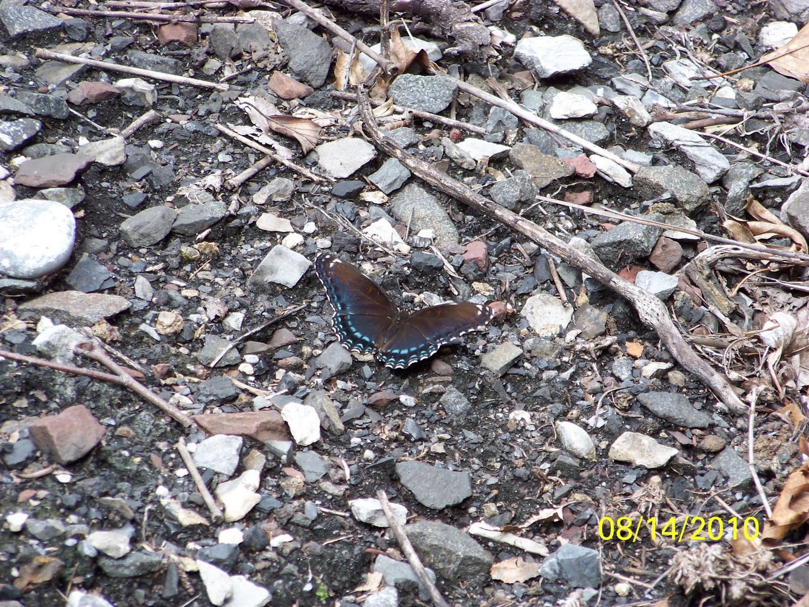 Up. Weekend Adventure at Jim Thorpe, PA