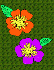 Ilustração Trabalhada