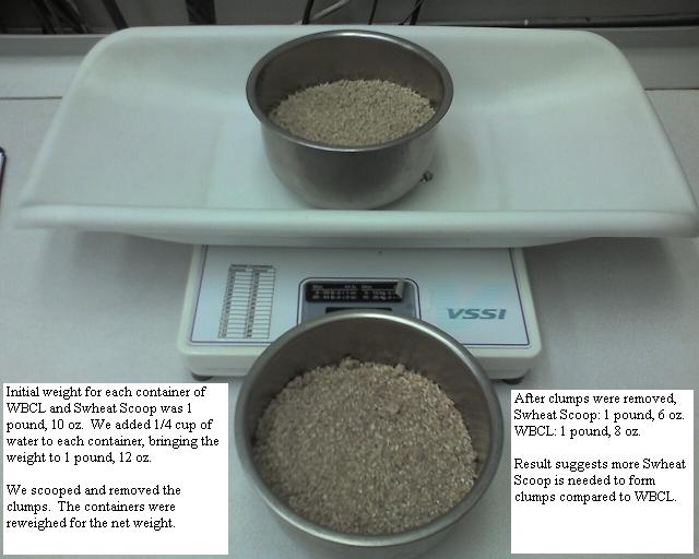 The Family Vet Blog Clumping Cat Litter Conclusions