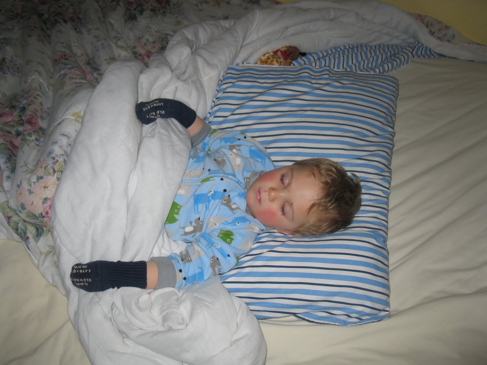 Dobb Family Blog Strange Sleeping Spots
