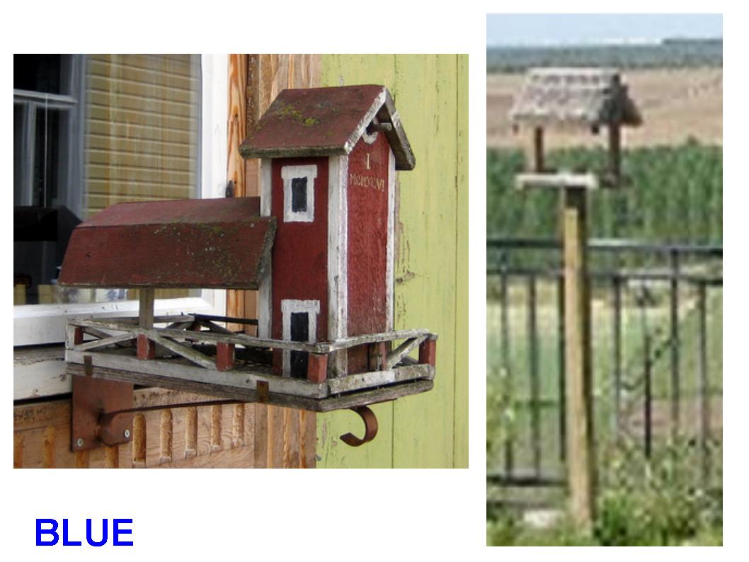 Tips: Sobre comederos para aves