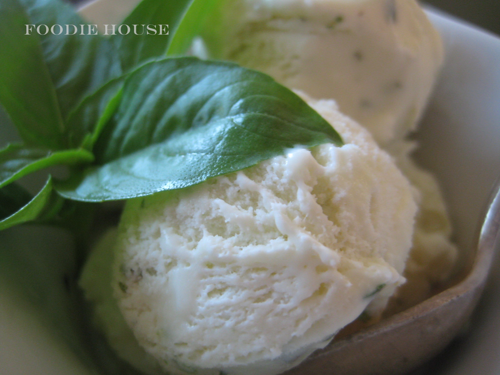 Foodie House Ice Cream of the BasilLime Persuasion