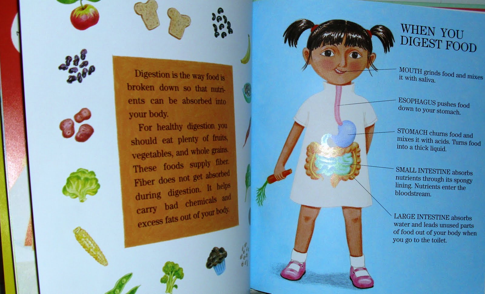 Instructional Materials at Morris: Digestion and Health