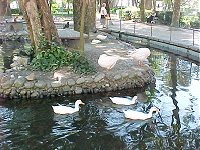 [JARDIM........................jpg]