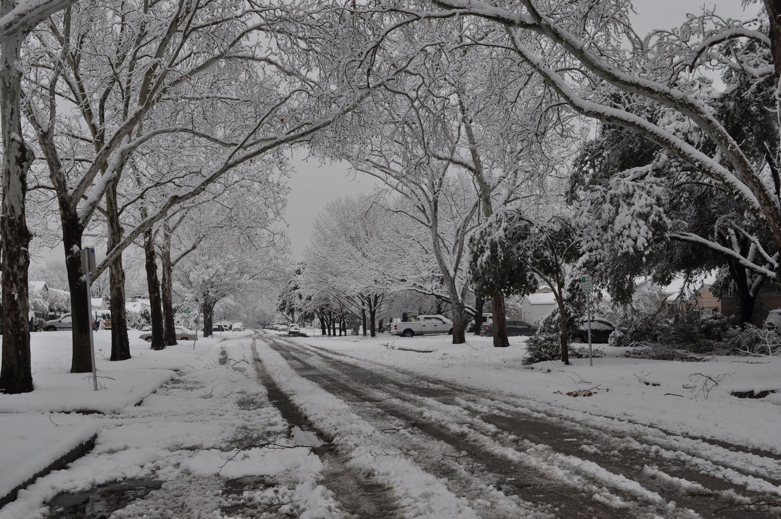 The Ballentine Bunch Record snowfall in Fort Worth!!!